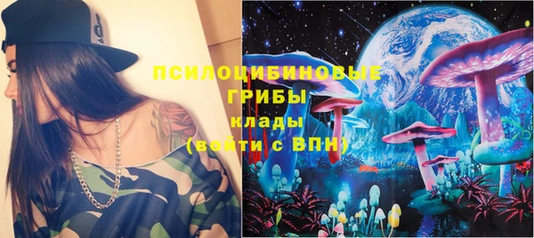 ГАЛЛЮЦИНОГЕННЫЕ ГРИБЫ Зеленодольск