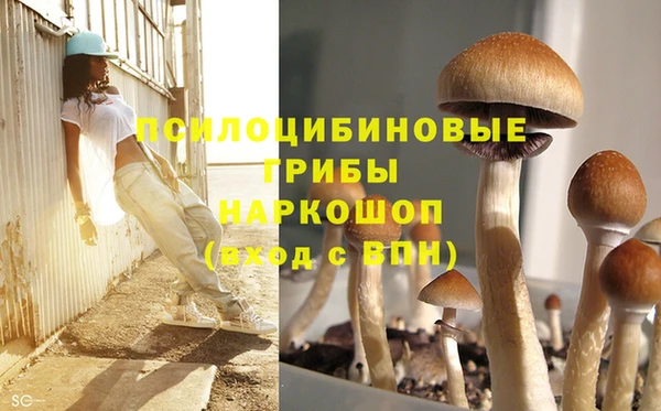 герыч Зерноград