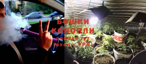 ГАЛЛЮЦИНОГЕННЫЕ ГРИБЫ Зеленодольск